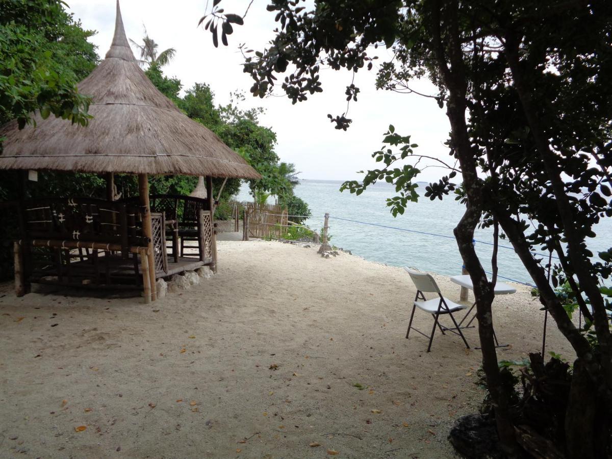 Sea Turtle House Moalboal Hotel Exterior photo