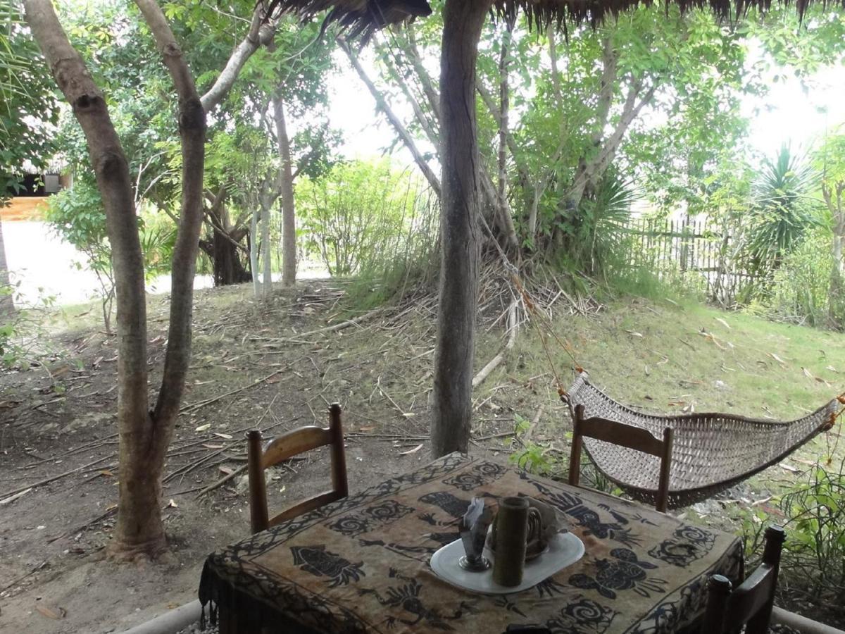 Sea Turtle House Moalboal Hotel Exterior photo