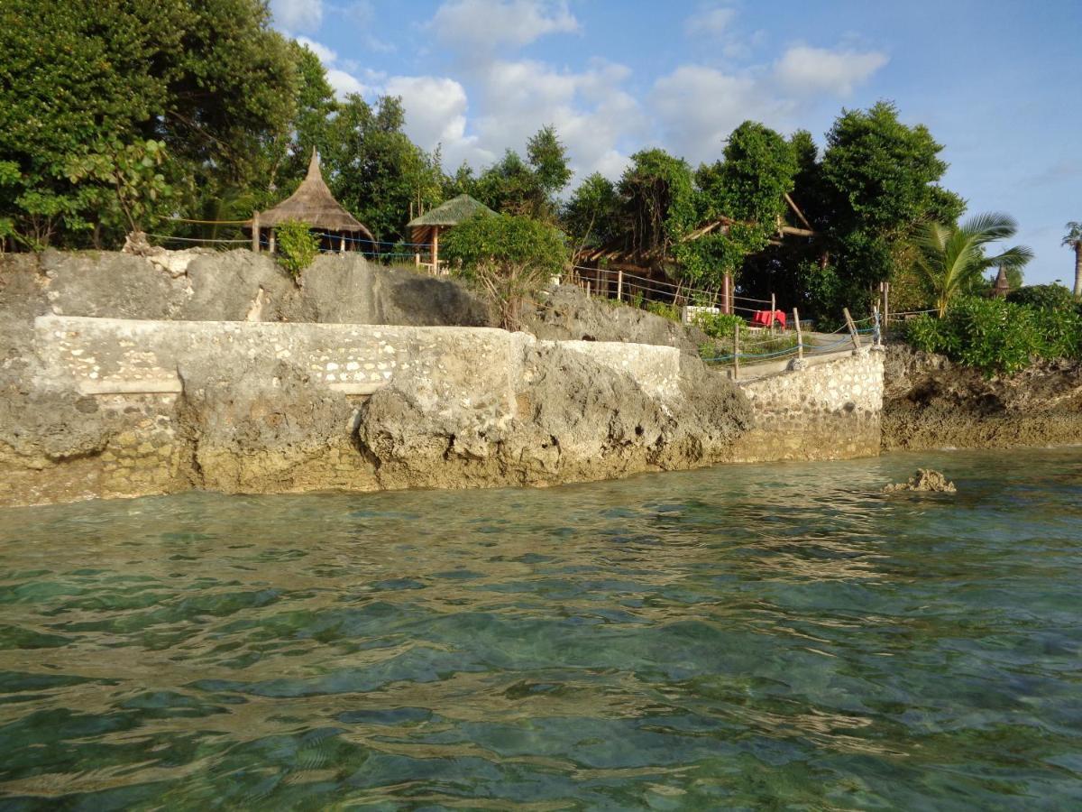 Sea Turtle House Moalboal Hotel Exterior photo