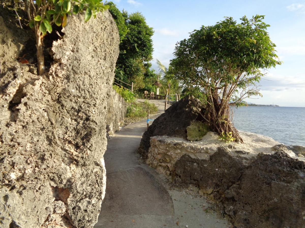 Sea Turtle House Moalboal Hotel Exterior photo