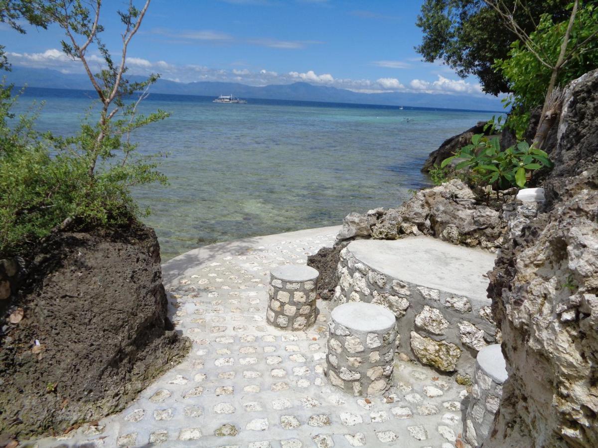 Sea Turtle House Moalboal Hotel Exterior photo