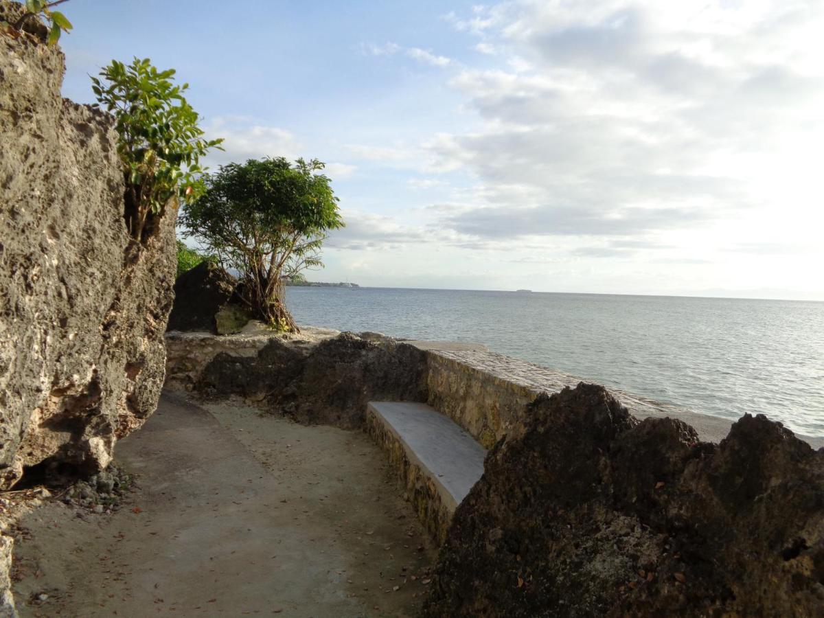 Sea Turtle House Moalboal Hotel Exterior photo