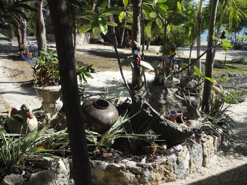 Sea Turtle House Moalboal Hotel Exterior photo