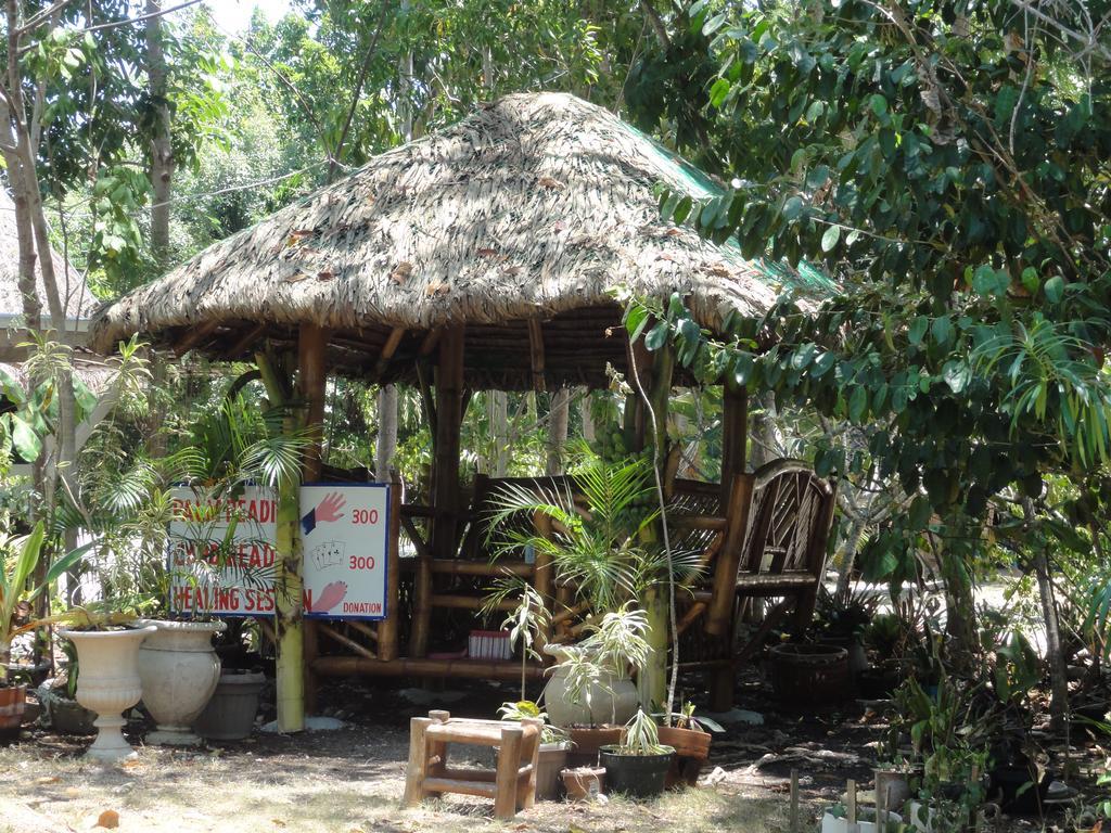 Sea Turtle House Moalboal Hotel Exterior photo