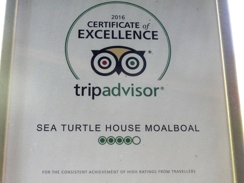 Sea Turtle House Moalboal Hotel Exterior photo