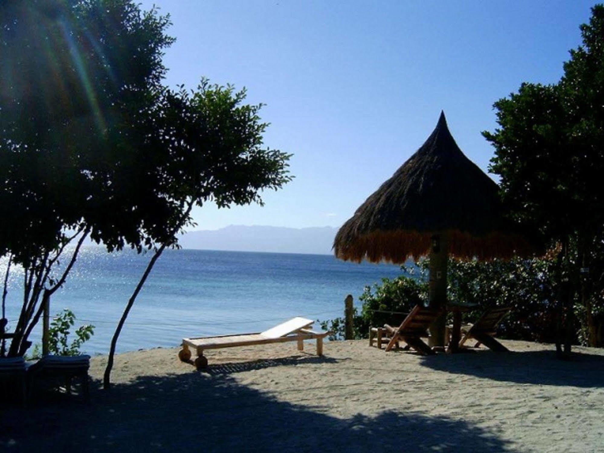 Sea Turtle House Moalboal Hotel Exterior photo