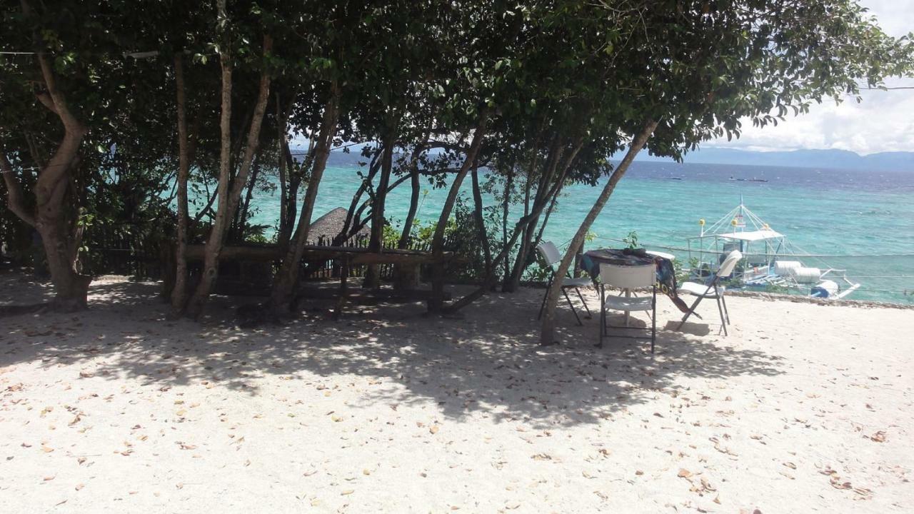 Sea Turtle House Moalboal Hotel Exterior photo