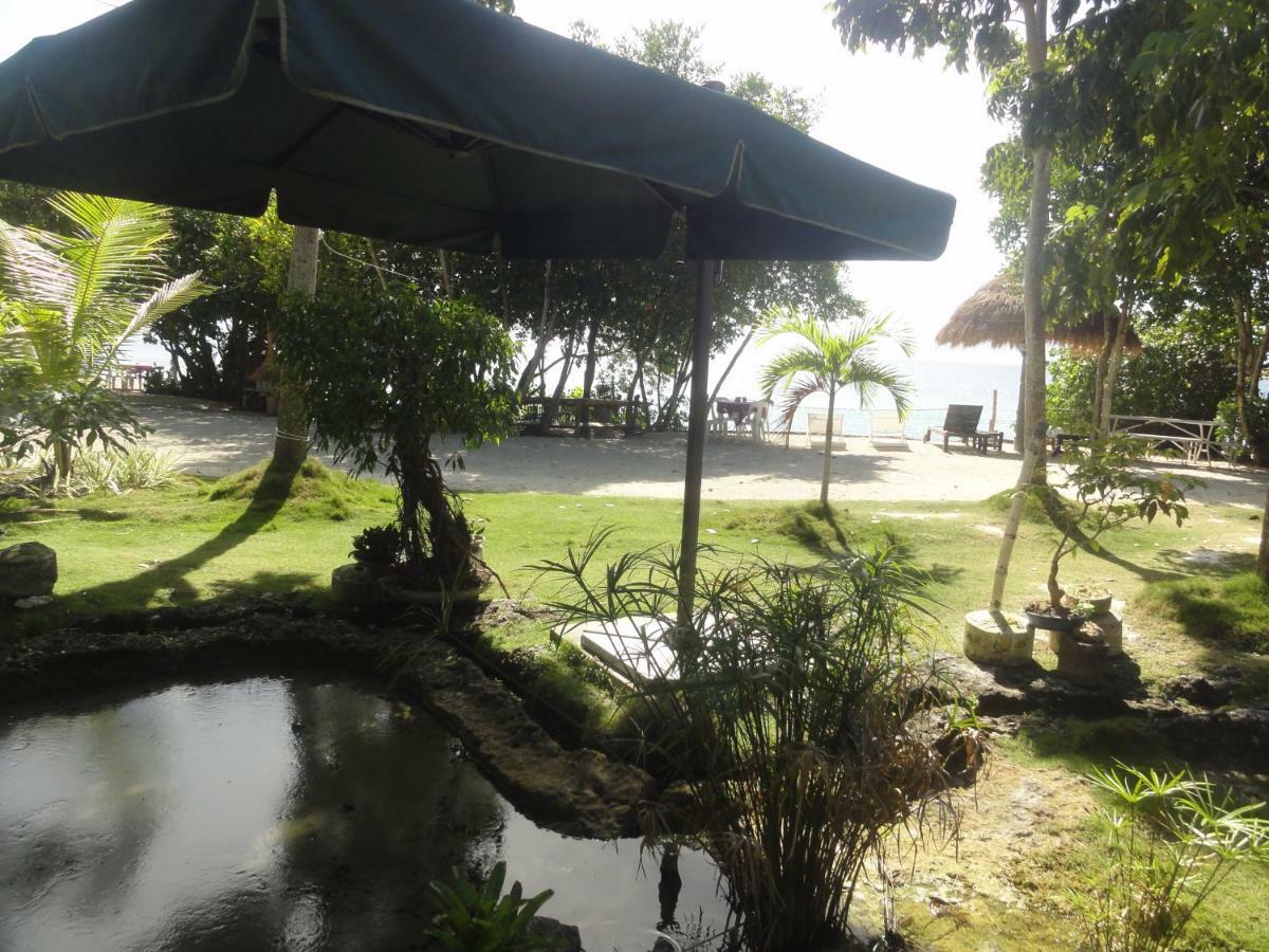 Sea Turtle House Moalboal Hotel Exterior photo