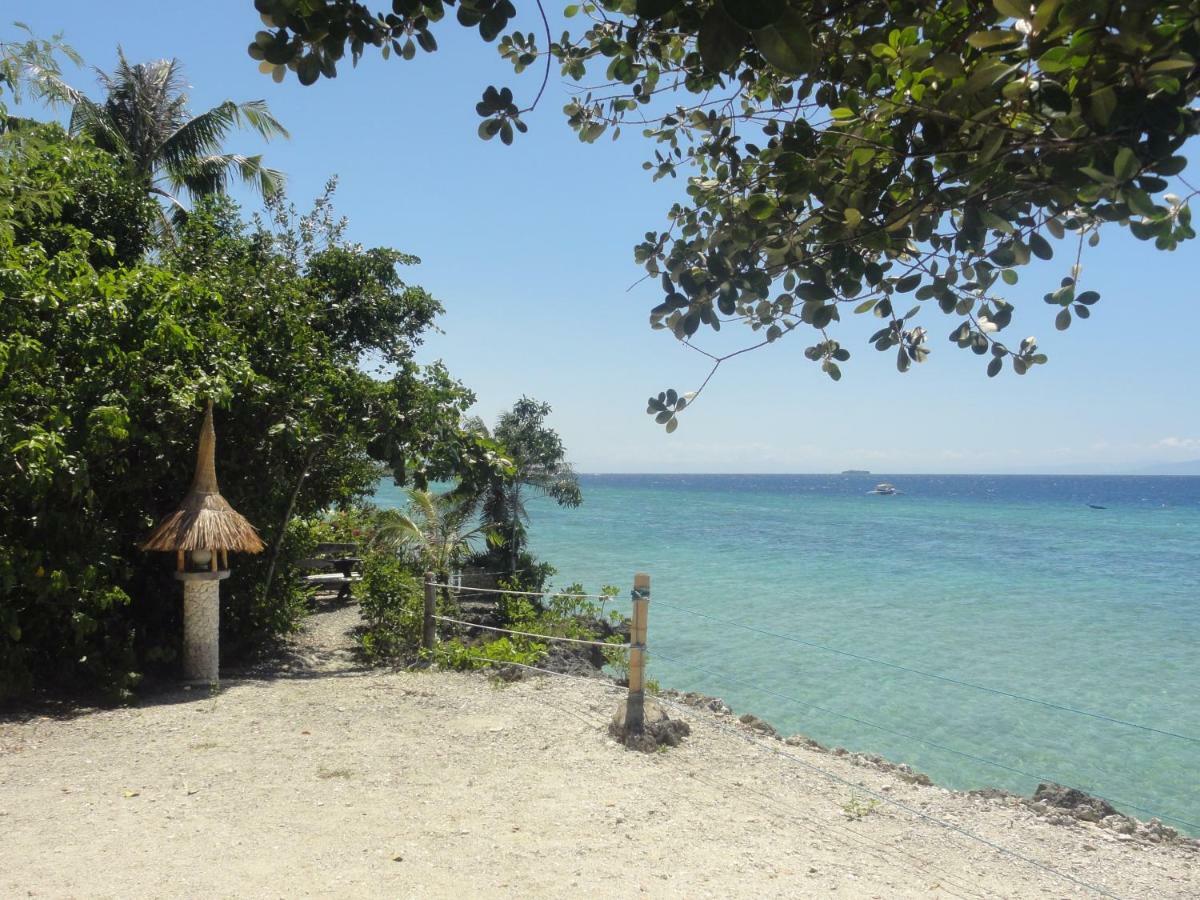 Sea Turtle House Moalboal Hotel Exterior photo