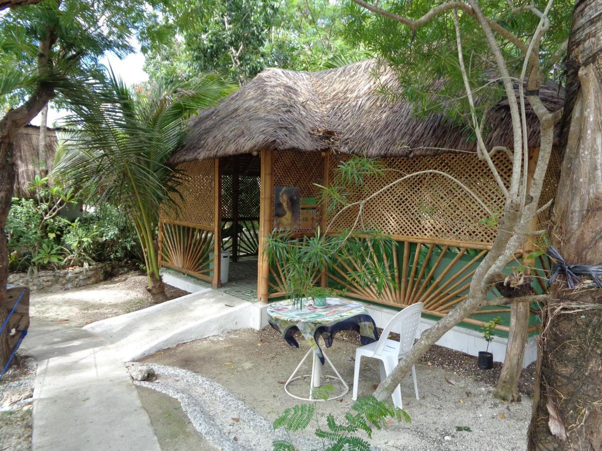 Sea Turtle House Moalboal Hotel Exterior photo