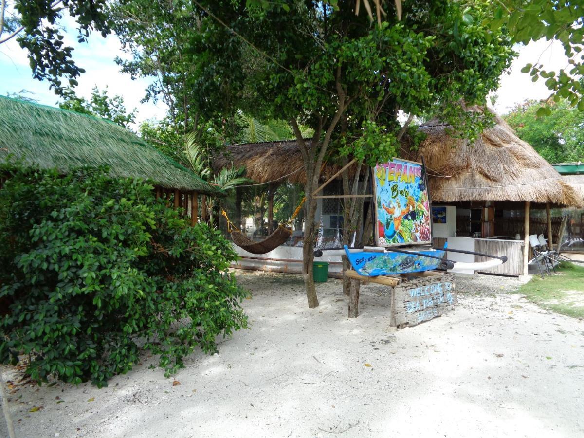 Sea Turtle House Moalboal Hotel Exterior photo