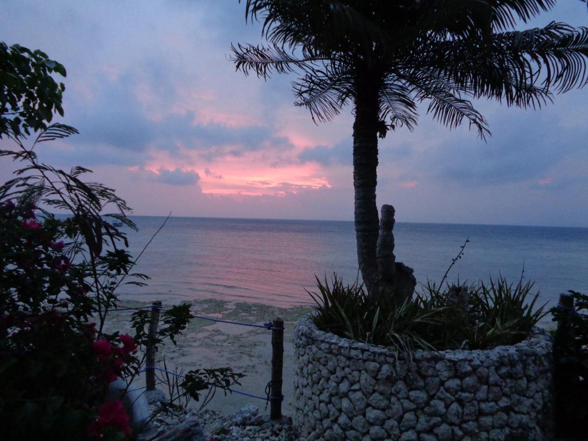 Sea Turtle House Moalboal Hotel Exterior photo